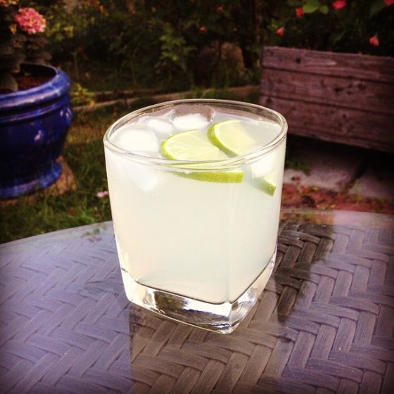 Gin & Tonic (GT) Drink Recept på goda drinkar Drinkoteket